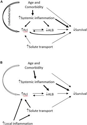 Peritoneal Protein Clearance Is a Function of Local Inflammation and Membrane Area Whereas Systemic Inflammation and Comorbidity Predict Survival of Incident Peritoneal Dialysis Patients